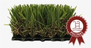 Césped Artificial Oasis 25mm Especialmente Indicado - Artificial Turf