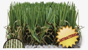 Césped Artificial Para Mascotas - Cesped Artificial Para Gatos