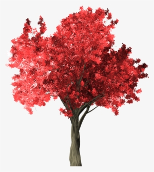 Arbol Rojo Png - Arbol Png Rojo