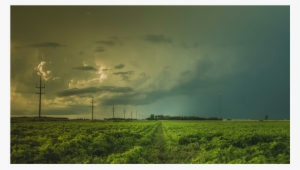 Score 50% - Woman In White By Wilkie Collins 9781537485041 (paperback)