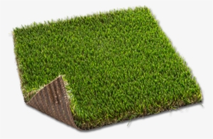 Productos Relacionados - - Lawn