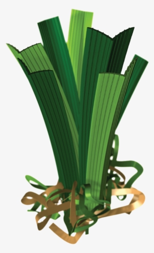 Fibras V - Mint Technology