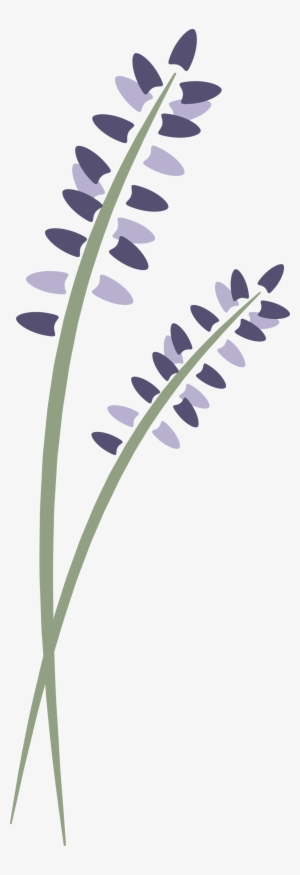 Lavenderlogovertical - Lavender Springs Spa Director Guide