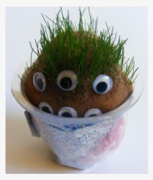 Spring Crafts For Kids