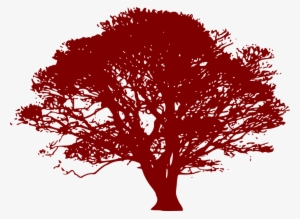 Arbol Rojo Png - Tree Silhouette Green