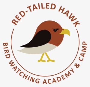 Red-tailed Hawk - Camba Imperial Ipa