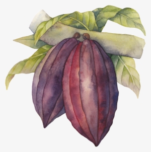 Árbol Resultado Png Transparente - Portable Network Graphics