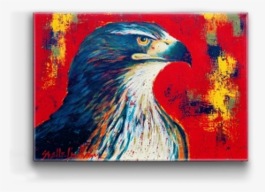 Red Tailed Hawk Box Art - Art