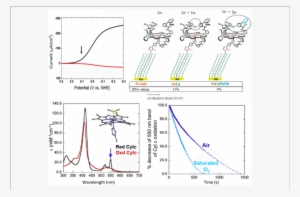 Model 1 Is Immobilized, The Electron Source Is An Electrode - Rotating Ring-disk Electrode