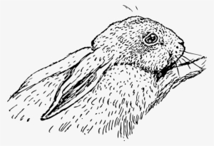 Original Png Clip Art File Rabbit Svg Images Downloading
