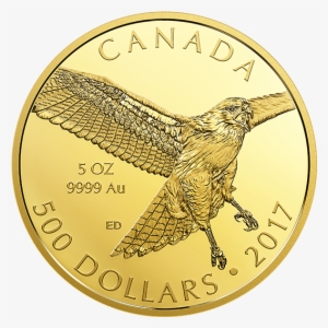 Pure Gold Coin - Ounce