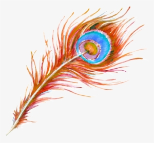 Beautiful Hand Painted Peacock Feathers Hd Png - Peafowl