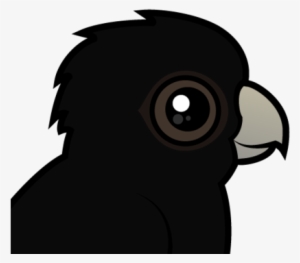Red-tailed Black Cockatoo - Red-tailed Black Cockatoo Keychain, Adult Unisex, Size: