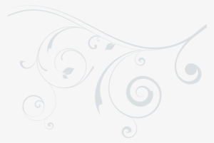 Vector Curls - Png Curls White Vector