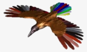 The Bird Of Happiness - Glogster