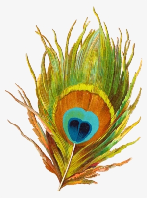 Манекен Ретро Рисунок На Прозрачном Фоне - Feather