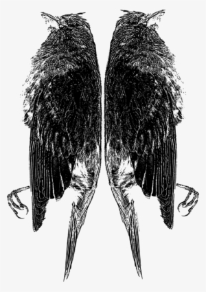 Click And Drag To Re-position The Image, If Desired - Sketch