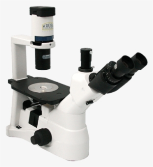 Inverted Microscope - Kruess Optronics Mbl3200 Trinocular-inverse Microscope
