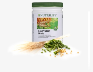 Nutrilite All Plant Protein Powder For Enhanced Protein - All Plant Protein Powder Amway