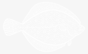 Fish Illustration - Illustration