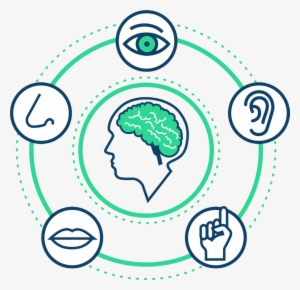 The Best Group Consists Of Five Imaginative Participants, - Sense Perception Transparent