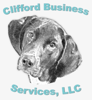 Clifford - Almoxarifado