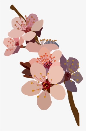 Murialflowers - Flowers Png Tumblr Draw