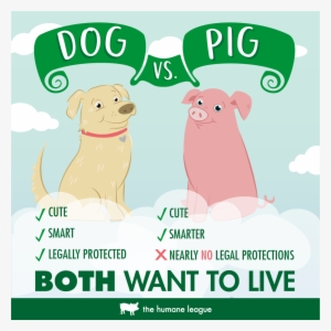The Humane League On Twitter - Only Difference Is Your Perception