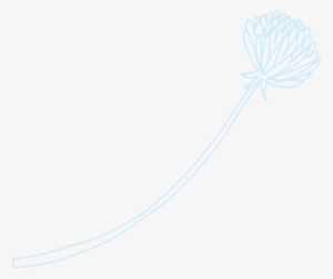 Afterparty Drawn Flower - Drawing