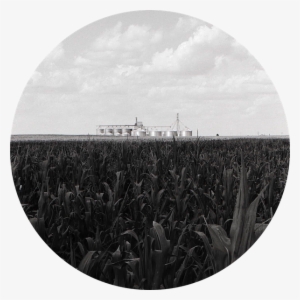 Distant Cornfield Silos - Circle