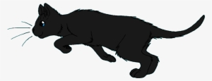 Ravenwing - Warrior Cats Rooktail