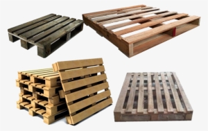 Jungle Wood Pallets - Pallet