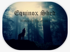Equinoxshed Banner,,