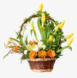 Codigo Tl16 S/ - Bouquet