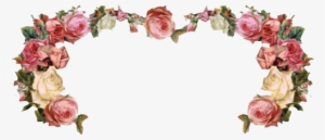 Amazing By Pato - Design