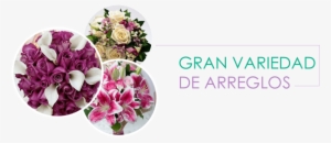 Floristerías En Garzón, Le Entrega Las Mejores Floristerías - Bouquet
