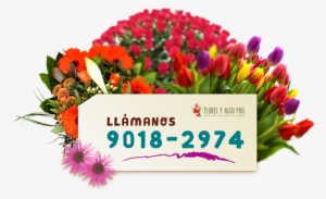 Todo Tipo De Arreglos Florales - Bouquet