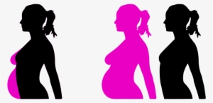 Can I Get Pregnant Right After My Period - Pregnant Clip Art