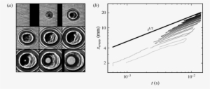 Wave Pattern (and Film Rupture) Generated By A Droplet - Circle
