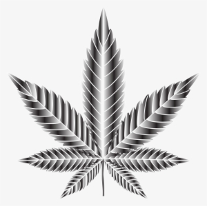 Big Image - Don T Smoke Weed Poster