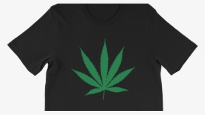 Cannabis