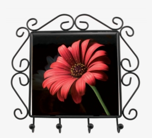Wrought Iron Frame W/key Hooks - 21 Petals Flower