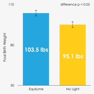 The Equilume Light Mask Improves Foal Birth Weights - Graphic Design