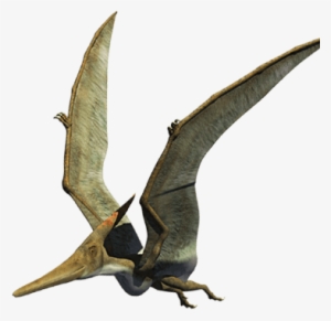 Parque De Dinosaurios Dinosaurios Animatronics - Pteranodon Png
