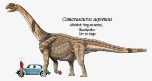 Pertenece A La Famosa Formación Morrison Que Alberga - Evolved Into Dinosaurs