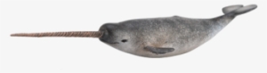 Dinosaurios Marinos Png 6 - Collecta Narwhal