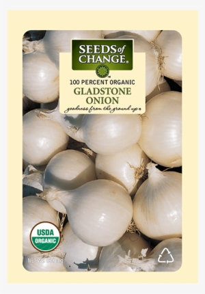 Organic Gladstone White Onion Seeds - Onion, Gladstone Seed Pack