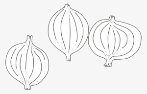 Image01/02 - Vegetable