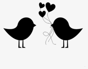 Cor Do Fundo - Passarinho Preto E Branco Png