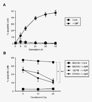 Effects Of Cd27 And Cd40 Ligation On Bcr Mediated Apoptosis - Diagram
